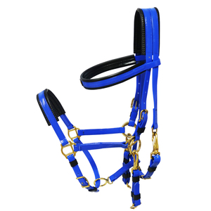 Écologique <span class=keywords><strong>cheval</strong></span> d'endurance racing bride, rein et cuirasse - Product Image 4