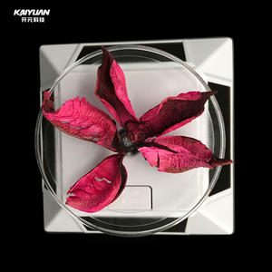 Plastikblätter Trendiges Baby-Modell Windmühle für Bildungszwecke - Product Image 2