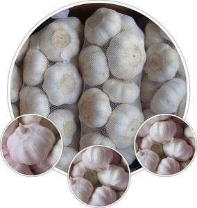 2023 cây trồng mới tỏi tươi/ajos/alho xuất khẩu - Product Image 3