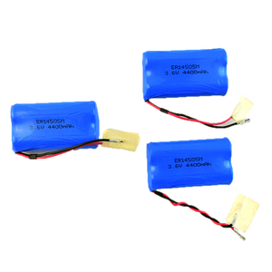ER14505 3,6 V литиевая батарея er145050m lisocl2 неперезаряжаемая батарея - Product Image 3