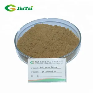 Echinacea Extract High Quality Echinacea Purpurea Root Extract 10% Polyphenols Echinacea Purpurea Extract Echinacea Extract