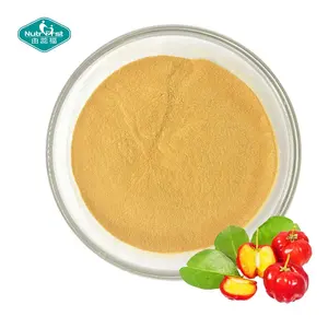 Nutrifirst Fruit Extract Professional Manufacturer Organic Acerola Cherry Fruit Juice Food Additive Powder