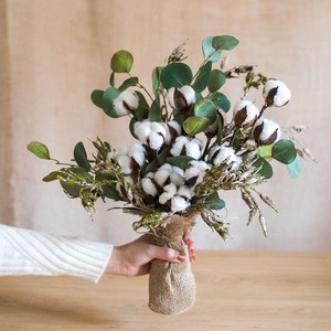 SZ04132 — <span class=keywords><strong>fleurs</strong></span> en <span class=keywords><strong>coton</strong></span> <span class=keywords><strong>séchées</strong></span> naturellement naturelles, 10 Bouquets de branches de <span class=keywords><strong>coton</strong></span> <span class=keywords><strong>séchées</strong></span>, vente en gros - Product Image 4