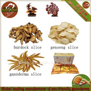 Té de <span class=keywords><strong>bardana</strong></span> con ganoderma ginseng - Product Image 1