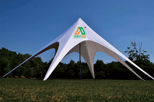 10m 12m 14m 16m di promozione unico polo della spiaggia ombra stella <span class=keywords><strong>tenda</strong></span> - Product Image 3