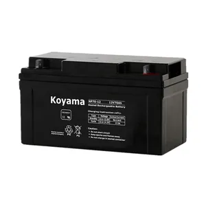 12V70AH Sealed Lead Acid Battery Vrla Battery AGM Battery NP70-12