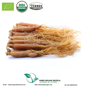 Toptan sertifikalı 5 yaşında kore kırmızı <span class=keywords><strong>ginseng</strong></span> kökü en iyi fiyat ile