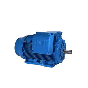 Global Warranty W22Xec Non Sparking Motor