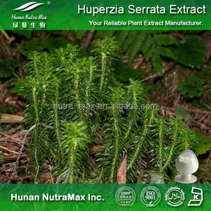 Fabricante Extracto de planta Suplemento de hierbas <span class=keywords><strong>Huperzia</strong></span> <span class=keywords><strong>Serrata</strong></span> Extracto 98% Huperzine A Polvo - Product Image 5