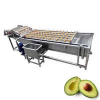 Automatische transportband industriële toepassing 2000kg/u fruit- en groentewasmachine