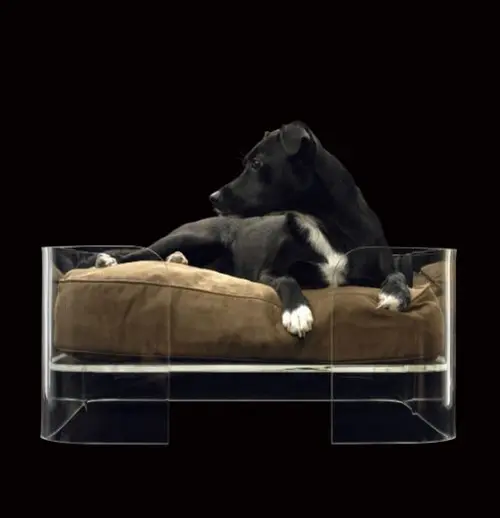 애완 동물 투명 아크릴 개 침대에 대 한 현대 디자인 직사각형 아크릴 애완 동물 침대 Perspex 침대