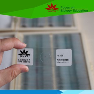 Slide Individual Lilium Anther, C. <span class=keywords><strong>S</strong></span>. <span class=keywords><strong>Microscope</strong></span> Slide 7101/7105 - Product Image 2