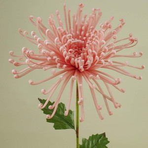 Chrysanthème artificiel en <span class=keywords><strong>mousse</strong></span> Fuji avec feuilles, fleur en <span class=keywords><strong>mousse</strong></span> - Product Image 2