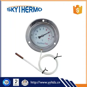 Nautisches digitales Glasröhren-Porzellan thermometer