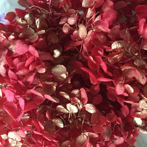 HFlora-Hortensia Multicolor natural a granel para el hogar, boda, tienda en línea, decoración, venta al por mayor - Product Image 5