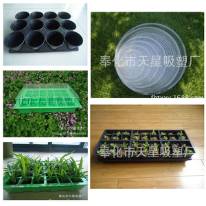 Taizhou alta calidad huerta vivero bandejas de plántulas de orquídeas de plástico al por mayor - Product Image 6