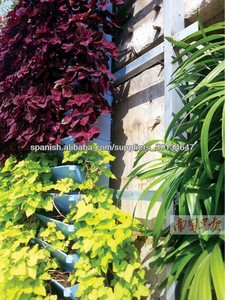 Importer des produits bon marché <span class=keywords><strong>de</strong></span> la chine mur vertical jardin <span class=keywords><strong>pot</strong></span> <span class=keywords><strong>de</strong></span> <span class=keywords><strong>fleurs</strong></span> - Product Image 5