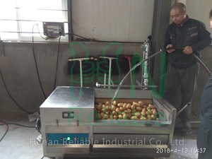 Best Price Cassava Washing And Peeling And Cutting Machine In Nigeria