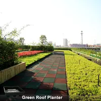 ग्रीन स्वस्थ शहरों के लिए हरे रंग की छत छतों में छत उद्यान