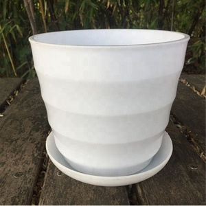 Commercio all'ingrosso carino <span class=keywords><strong>succulente</strong></span> vaso di <span class=keywords><strong>fiori</strong></span> artificiali <span class=keywords><strong>fiori</strong></span> di orchidea in vaso - Product Image 2