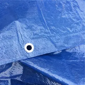 Tarpaulin CuộN nhập khẩu sử dụng rộng rãi PE khác vải dệt dịch vụ chuyên nghiệp đồng bằng kiện tráng bạt không thấm nước đường may nhiệt