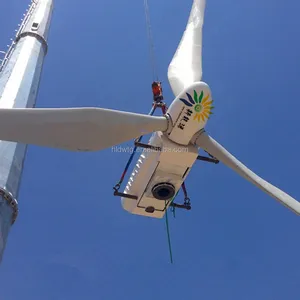 Paso controlado de la turbina de viento 30kw con SIEMENS PLC control
