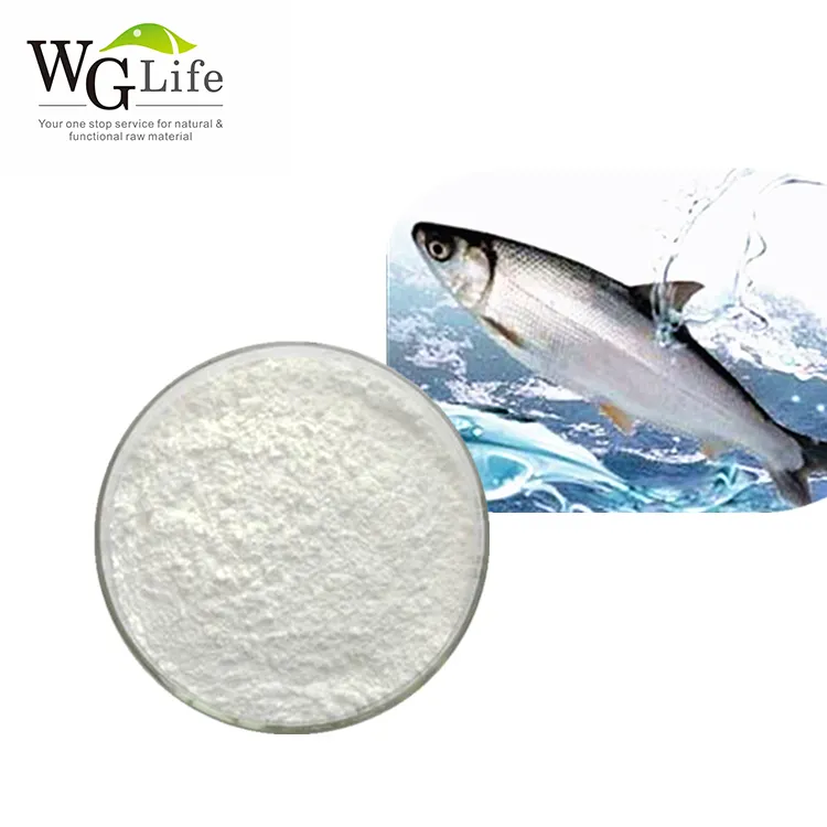 Polvo péptido de colágeno de pescado Natural, hidrolizado puro para extracto de plantas cosméticas