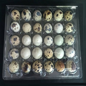 Clamshell Clear Plastic Quail Egg Tray for Supper ment Quail Egg Packagingment Quail Egg Packaging