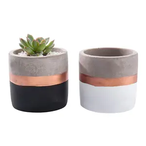 Factory Price Black and White Indoor Small Concrete Planter with Gold Band