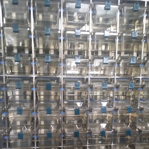 Lồng chuột thông gió riêng lẻ IVC, lồng nuôi động vật có giá đỡ - Product Image 5