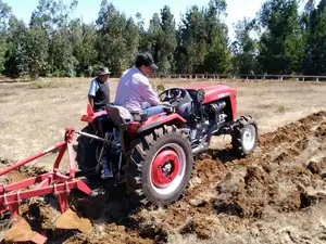 Bauernhof pflug umzusetzen Traktor Verwendet doppel klinge schar pflug für verkauf