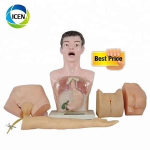 -405 다기능 의료 훈련 기본 간호 manikin IV 팔 다리 운영 연습 모델 간호사 기술 연습 모델 - Product Image 4