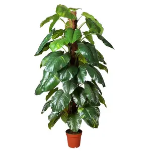 Plantes <span class=keywords><strong>d</strong></span>'<span class=keywords><strong>intérieur</strong></span> artificielles à <span class=keywords><strong>grande</strong></span> feuille, 1 pièce, fausses fleurs de bonsaï tropical en plastique, vente <span class=keywords><strong>d</strong></span>'arbre - Product Image 1