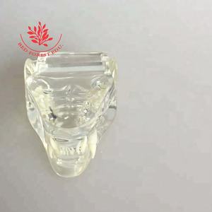 Modelo Transparente de Huesos de Mandíbula y Dientes de Gato y Perro para Anatomía Animal - Product Image 4