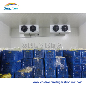 Refrigerador Room Apple Store Sala venta con insultado panel - Product Image 4