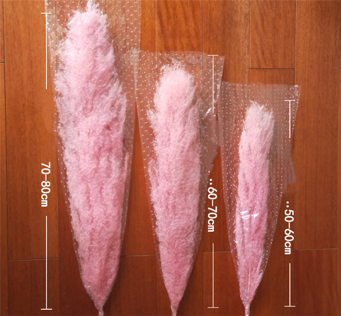 Rosa (length80-100cm della testa)