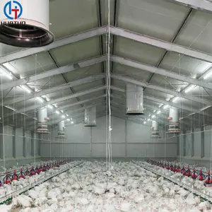 Ferme à volaille, 30 à 45 jours, conception de grange à poulet