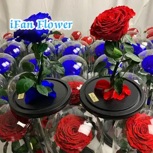 Bán Buôn Bảo Quản Rose Trong Glass Dome Tươi Cut Flowers Hoa Màu Xanh Hoa Hồng Cho UAE Ngày Quốc Khánh Xuất Khẩu Sang UAE