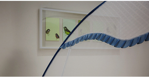 Dành cho người lớn gấp chống muỗi Net và giường tán nhà sử dụng sản phẩm - Product Image 2