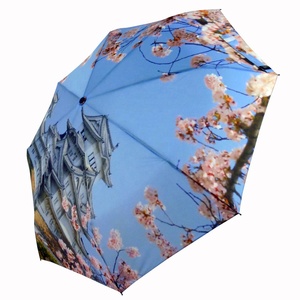 <span class=keywords><strong>Parapluie</strong></span> compact personnalisé avec photo numérique de patte de chat ou de <span class=keywords><strong>chien</strong></span>, empreinte digitale, manuel, pongee - Product Image 2