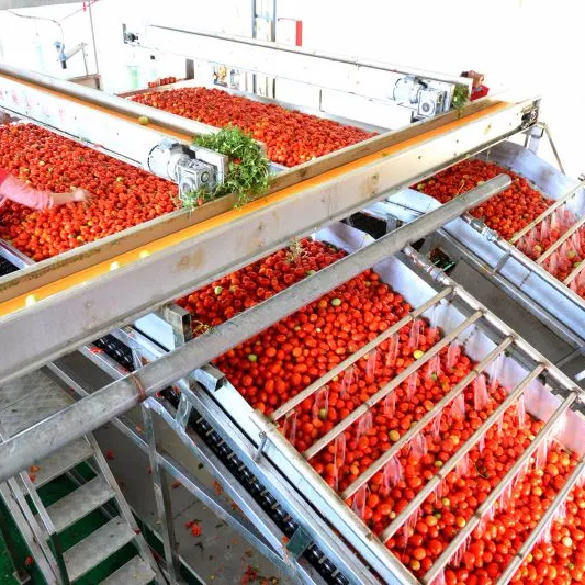 High Quality Tomato Mango Pineapple Juice Paste Sauce Ketchup Making Filling Machine Production Line Price