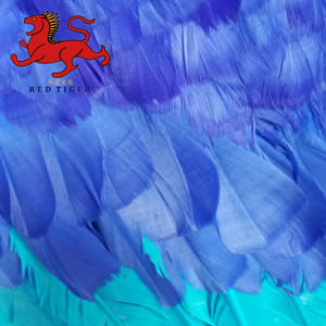 Parco di divertimenti a Grandezza naturale <span class=keywords><strong>Animal</strong></span> Realistica <span class=keywords><strong>Animatronic</strong></span> Uccello per la Vendita - Product Image 5