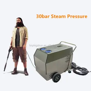 30bar Steam 70bar Cold Hot Water mobile polti vaporetto eco pro steam cleaner
