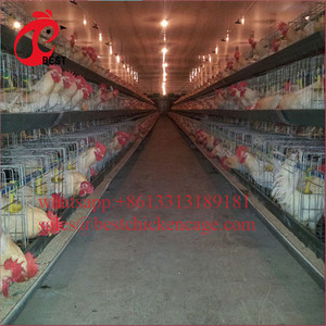 Lowest <span class=keywords><strong>Price</strong></span>小屋200鳥層価格ブロイラー鶏飼育ケージ高品質 - Product Image 3