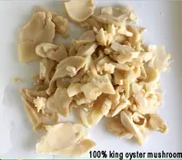 100% king oyster cogumelo em latina