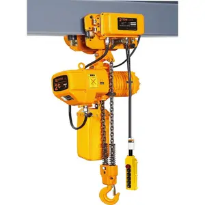 1ton 2ton 5ton 10ton Crane Low Headroom Electric Chain Hoist with Hook Block