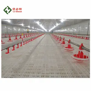 Professional poultry farm supplies for broiler chicken in China