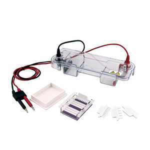 BIOBASE Cina Costo-efficace Elettroforesi Serbatoio Orizzontale Elettroforesi Serbatoio - Product Image 3