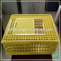 GREAT FARM Cage <span class=keywords><strong>de</strong></span> transport <span class=keywords><strong>de</strong></span> volaille en plastique Offre Spéciale pour poulets vivants - Product Image 2