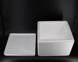 Caixa de embalagem de isopor para alimentos frios e gelo seco